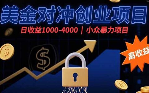 美金对冲创业项目，日收益1000-4000，小众爆栗项目