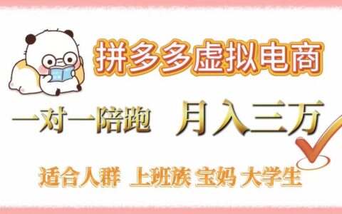 拼多多虚拟电商，一对一陪跑，月入3万，0囤货，轻资产，不发货