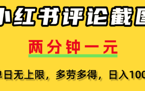小红书评论区评论截图，一分钟2条，日入几千，多劳多得
