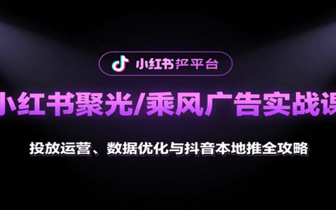 小红书聚光/乘风广告实战课：投放运营、数据优化与抖音本地推全攻略