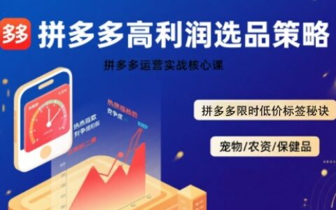 拼多多选品暴L技术实战课，拼多多高利润选品策略，拼多多限时低价标签秘诀