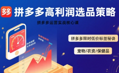 拼多多选品暴L技术实战课，拼多多高利润选品策略，拼多多限时低价标签秘诀