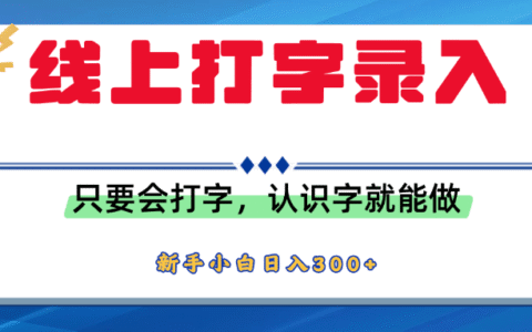 简单线上打字录入，用手机或者电脑就能操作，会识字就能玩，新人小白日入300+
