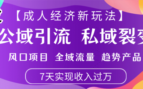 首发：【成人经济新玩法】市面独家玩法，风口项目、全域流量、趋势产品，7天实现月入过万