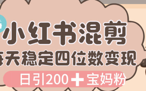价值 3980 的小红书混剪， 虚拟变现，日引 200+宝妈创业粉，每天稳定四位数变现
