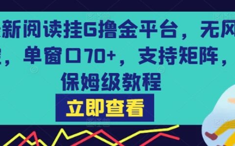 最新阅读挂G撸金平台，无风控，单窗口70+，支持矩阵，保姆级教程