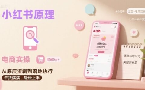 小红书原理以及详细实操流程，小红书电商教程