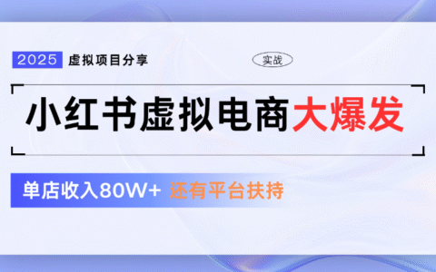 小红书虚拟店铺 蓝海项目 小白轻松一天300+