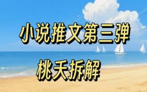 小说推文项目操作全流程第三弹，0粉就能做，门槛低非常适合新手