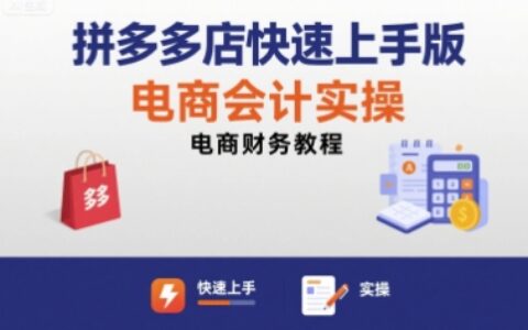 拼多多店快速上手版电商会计实操-电商财务教程