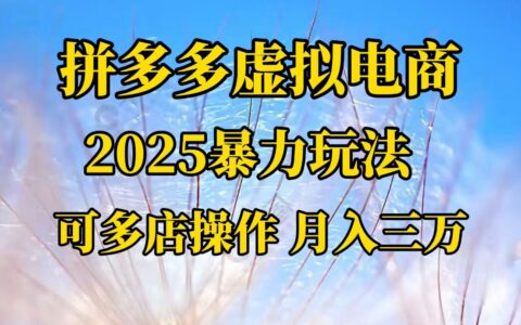 拼多多虚拟电商，不囤货不垫资的虚拟电商