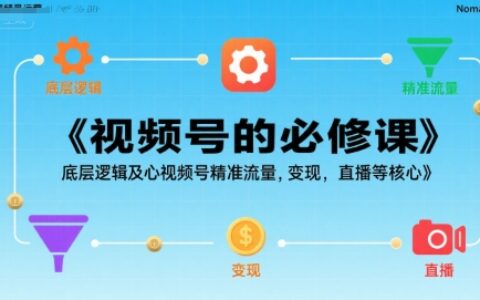 视频号的必修课，视频号的底层逻辑及核心视频号精准流量，变现，直播等核心