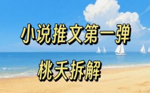 小说推文项目操作全流程第一弹，0粉就能做，门槛低非常适合新手