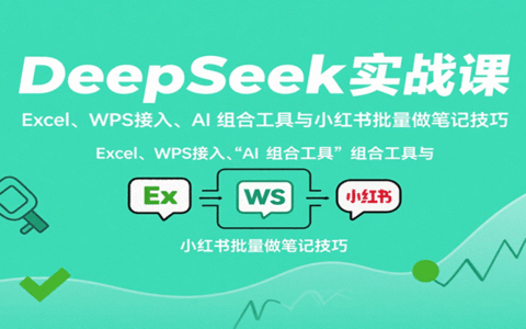 DeepSeek实战课：Excel、WPS接入、AI 组合工具与小红书批量做笔记技巧