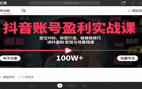 抖音账号盈利实战课，定位对标、标签打造、破播放技巧，讲涨粉变现与场景搭建