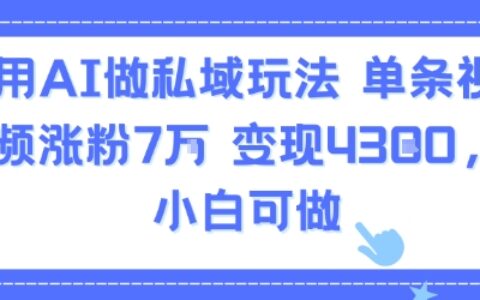 用AI做私域玩法，单条视频涨粉7W变现4.3k，小白可做
