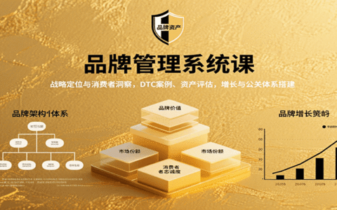 品牌管理系统课：战略定位与消费者洞察，DTC案例、资产评估，增长与公关体系搭建