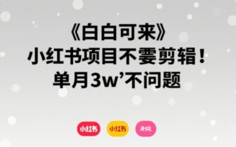 小白可来 小红书项目不需要剪辑 单月3w不是问题