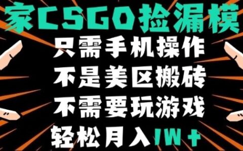 CSGO自动捡漏项目，最新独家玩法，不是美区搬砖，不需要了解和玩游戏，新手小白轻松月入1W+