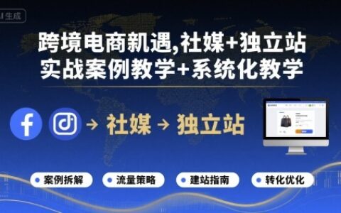 跨境电商新机遇，社媒+独立站，实战案例教学+系统化教学