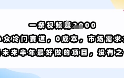 一条视频挣1k，小众冷门赛道，0成本，市场需求大，是未来半年最好做的项目，没有之一