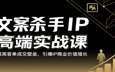 文案杀手IP高端实战课：破高客单成交壁垒，引爆IP商业价值增长