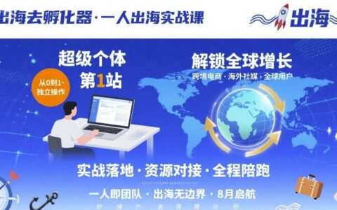 出海去孵化器，一人出海实战课，​超级个体第1站，解锁全球增长