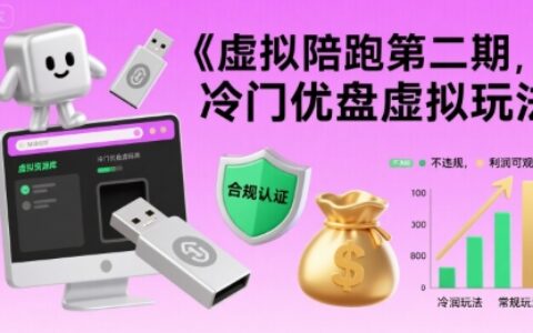 虚拟陪跑第二期，冷门优盘虚拟玩法，不违规，利润可观