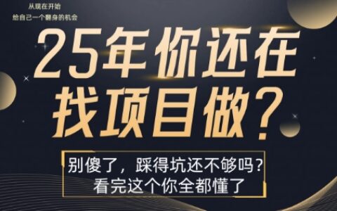 25年，你还在疯狂的找项目吗？别傻了，看完这个你都懂了