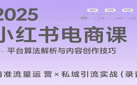 2025小红书电商课：解析算法，创作高转化内容，助力卖家获取流量实现变现（录音）