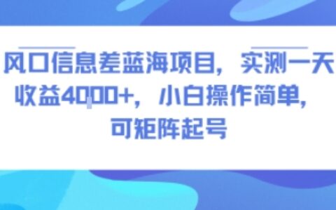 风口信息差蓝海项目，实测一天收益4k+，小白操作简单，可矩阵起号