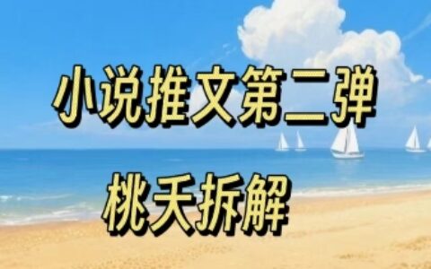 小说推文项目操作全流程第二弹，0粉就能做，门槛低非常适合新手