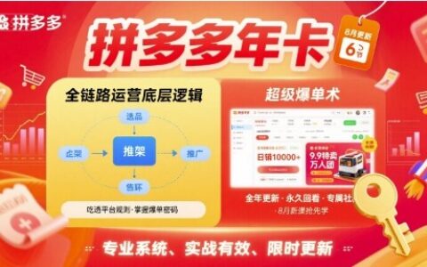 拼多多年卡【8月更新6节】拼多多全链路运营底层逻辑，超级爆单术