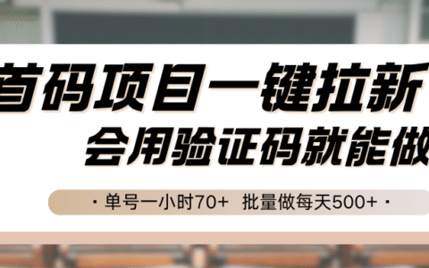 首码项目一键拉新，会用验证码就能做 单号一小时70+，批量做每天500+
