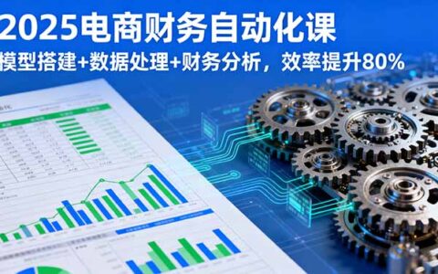 2025电商财务自动化课，模型搭建+数据处理+财务分析，效率提升80%