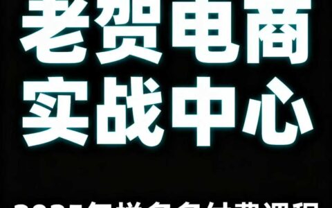 老贺电商2025年拼多多付费课程，用通俗易懂的方法告诉你多多怎么玩