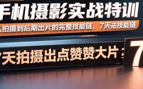 手机摄影实战特训，从拍摄到后期出片的完整技能链，7天拍出点赞大片