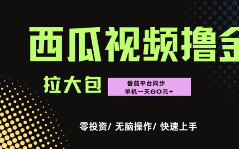 西瓜，番茄，撸金项目，单机一天轻松60R+，可无线放大化去做，低成本