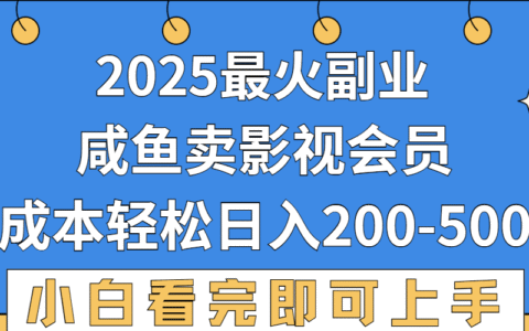 2025最火副业，闲鱼卖vip影视会员，零成本日入200-500
