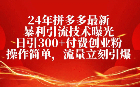 25年拼多多最新爆栗引流技术曝光、日引300+付费创业粉操作简单，流量立刻引爆