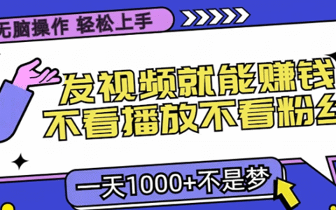 只要发视频就能赚钱？不看播放不看粉丝，无脑操作，小白轻松上手，一天1000+