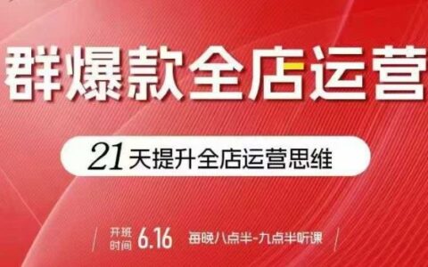 贾真电商群爆款全店运营，21天提升全店运营思维，起店、全店运营爆款不断