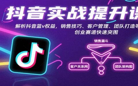 抖音实战提升课：解析抖音蓝v权益，销售技巧、客户管理、团队打造等创业赛道快速突围