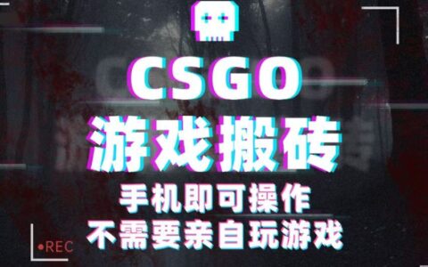 CSGO游戏挂G捡漏，单日扫货500+，年底小高峰上车可吃肉，手机即可操作副业副业