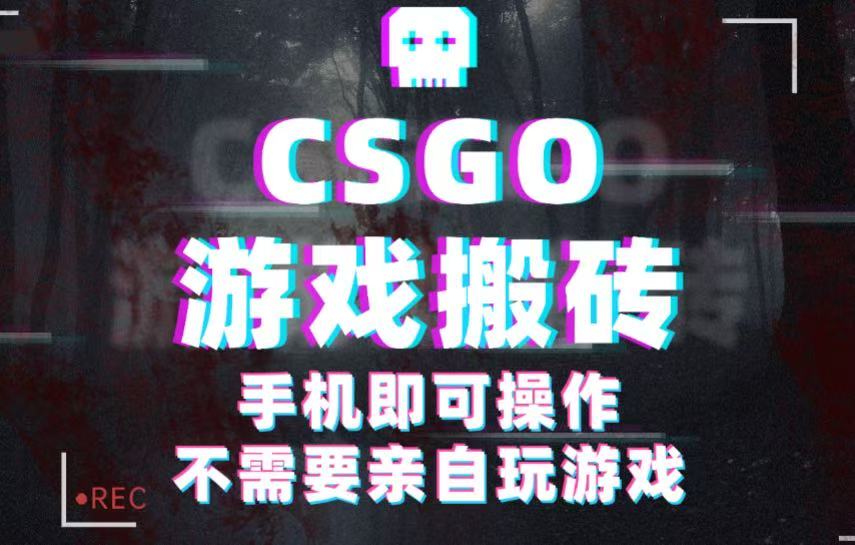 CSGO游戏挂G捡漏，单日扫货500+，年底小高峰上车可吃肉，手机即可操作副业副业