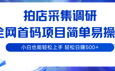 拍店采集调研，全网首码项目，简单易操作， 小白也能轻松上手，轻松日入500+