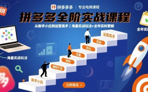 拼多多全阶实战课程，从新手小白到运营高手，海量实战玩法+全年实时更新【2025年9月更新】
