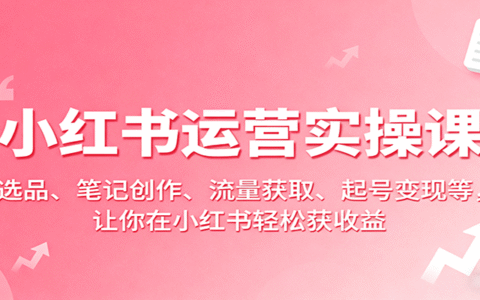 小红书运营实操课：选品、笔记创作、流量获取、起号变现等，让你在小红书轻松获收益