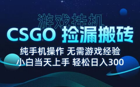 9月最新游戏搬砖，CSGO纯挂G，不需要玩游戏，实现真挂G，月入1W+