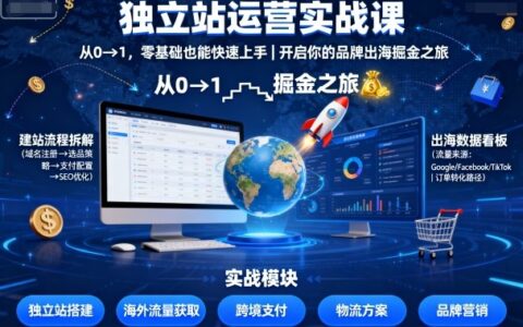 独立站运营实战课，​从0到1，零基础也能快速上手，开启你的品牌出海掘金之旅